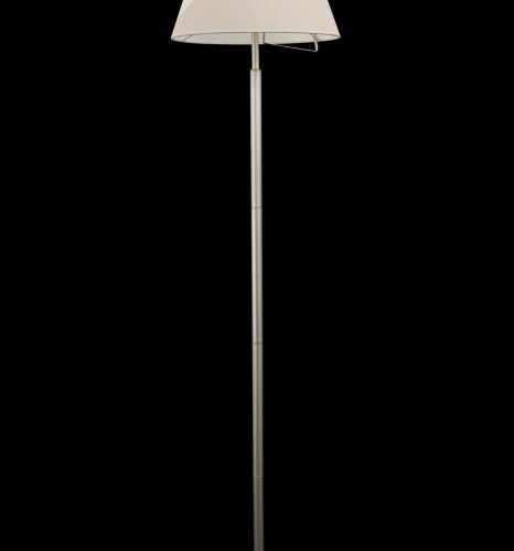 Торшер Freya Vanessa FR5084FL-01G