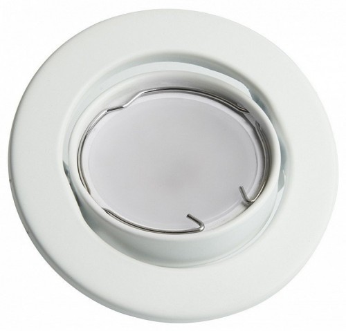 Точечный светильник Feron DL11 48465