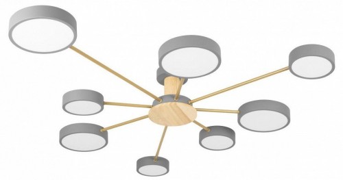 Потолочная люстра Loft IT Sunrise 10316/8 Grey Потолочная люстра Loft IT Sunrise 10316/8 Grey