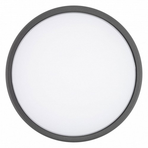 Потолочный светильник Arlight уличный GIRO 029948 Потолочный светильник Arlight уличный GIRO 029948