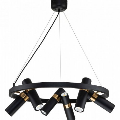 Подвесная люстра Favourite Light Point 2997-6P