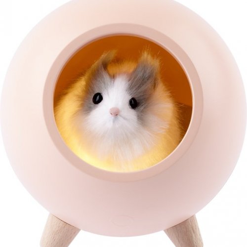 Ночник  NLED-468-1W-P