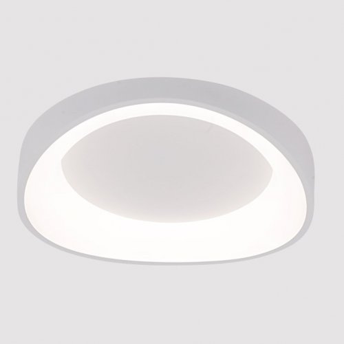 Потолочный светильник Arte Lamp A2698PL-48WH