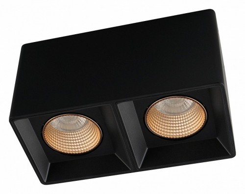 Накладной светильник Denkirs DK3085-BK+BR