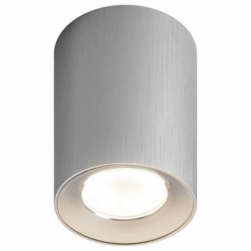 Потолочный светильник ЭРА OL1 GU10 SL/CH Потолочный светильник ЭРА OL1 GU10 SL/CH