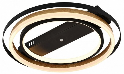 Потолочная люстра Escada Lagom 10247/2LED Потолочная люстра Escada Lagom 10247/2LED