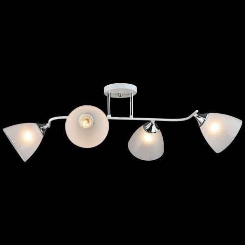 Потолочный светильник Reluce 01706-0.3-04 Потолочный светильник Reluce 01706-0.3-04