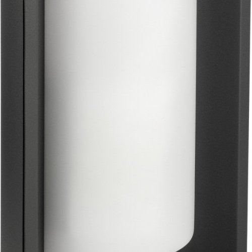 Настенный светильник уличный Oasis Light SIDNEY 0645 Gr