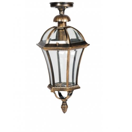 Потолочный светильник уличный Oasis Light ROMA L 95205LA Gb