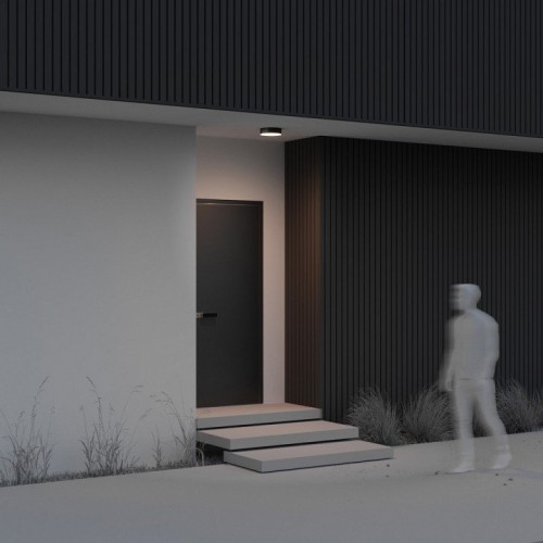 Потолочный светильник уличный Maytoni Zon IP O431CL-L30B3K