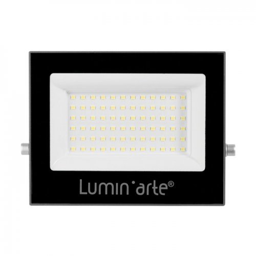 Прожектор уличный  LFL-70W/06