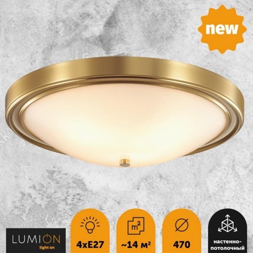 Настенно-потолочный светильник Lumion Nina 5259/4C