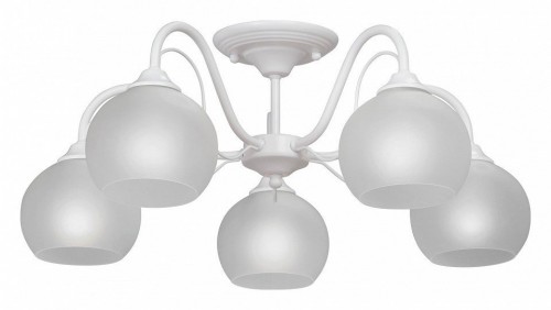 Потолочная люстра Vitaluce V3948-0/5PL