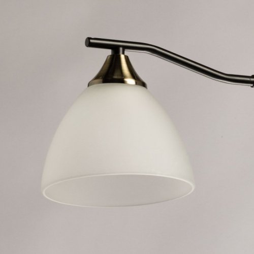 Потолочная люстра Альфа 115010103