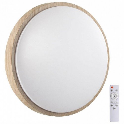 Настенно-потолочный светодиодный светильник Sonex Losta 7607/DL