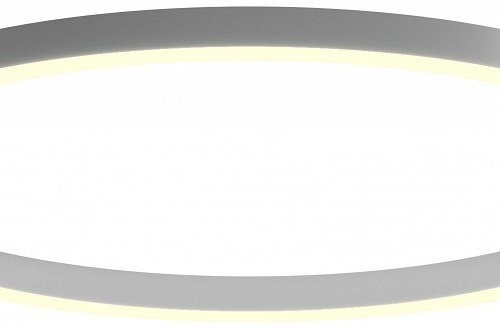 Потолочный светильник 0520834