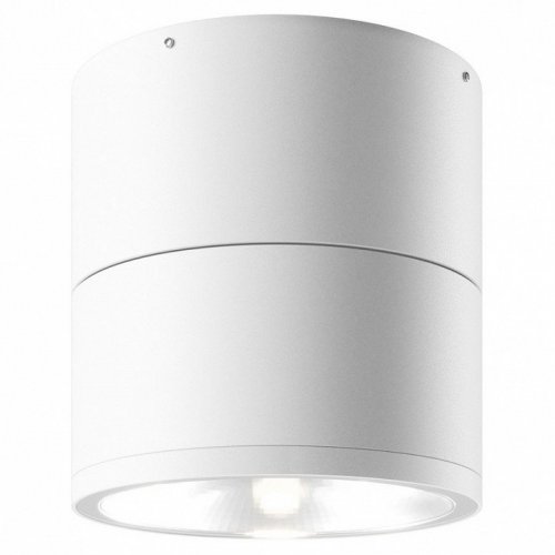 Потолочный светильник уличный Maytoni Spin O310CL-L7W3K