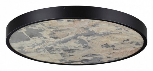 Настенно-потолочный светильник Odeon Light Bergi 5064/50L