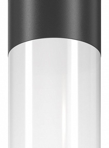 Потолочный светильник Maytoni уличный Willis O418CL-01B