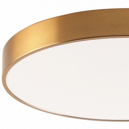 Потолочный светильник Zortes Tortty ZRS.02566.96