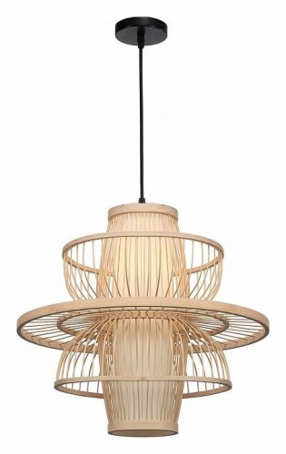 Подвесной светильник ST-Luce ALMA SL6241.513.01 Подвесной светильник ST-Luce ALMA SL6241.513.01