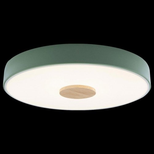 Потолочный светильник Loft IT Axel 10003/24 Green