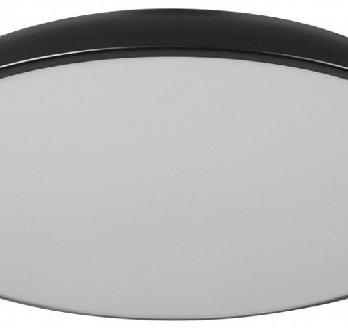 Потолочный светильник LOFT IT Dime 10371 Black