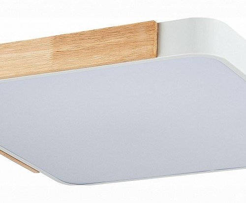 Потолочный светильник Evoluce Festa SLE201252-01