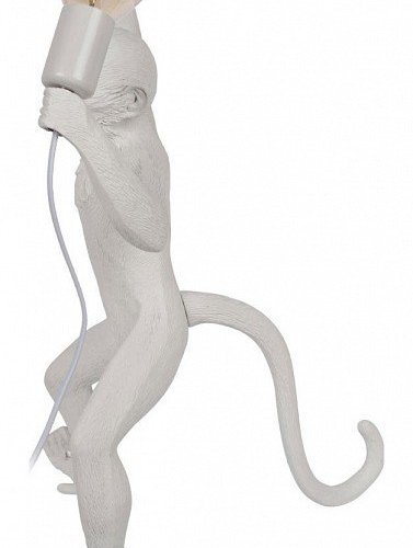 Настенный светильник Loft IT Monkey 10314W/B
