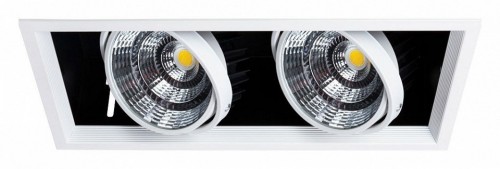 Точечный светильник Arte Lamp Merga A8450PL-2WH