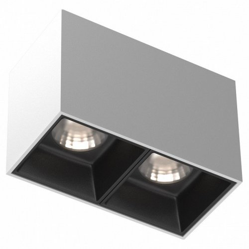 Точечный светильник Maytoni Alfa LED C065CL-02-L12W4K-W