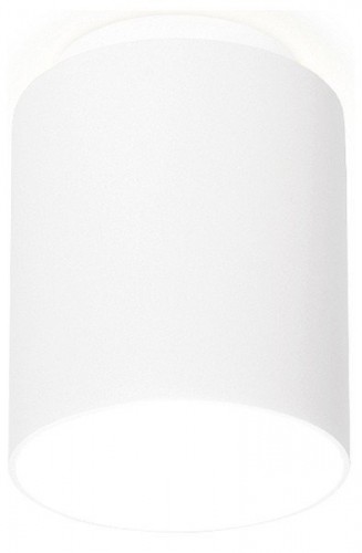 Потолочный светодиодный светильник Ambrella light Techno Spot TN260 Потолочный светодиодный светильник Ambrella light Techno Spot TN260