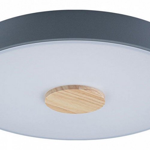 Потолочный светильник Loft IT Axel 10003/24 Grey Потолочный светильник Loft IT Axel 10003/24 Grey
