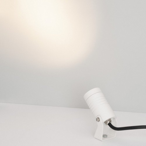 Прожектор уличный Arlight RAY 053624