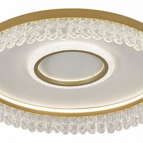 Потолочный светодиодный светильник F-Promo Lunetta 4186-2C