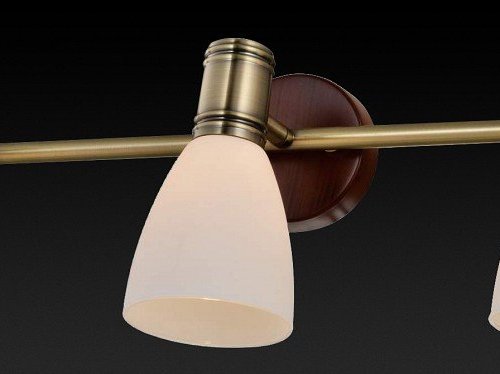 Настенно-потолочный светильник Toplight Sharyl TL3720Y-03BB