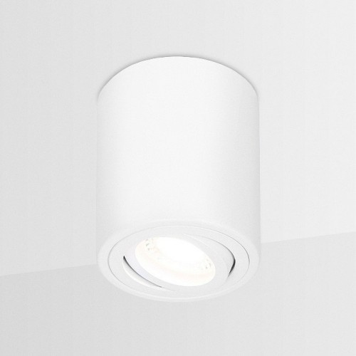 Потолочный светильник Ambrella light Techno Spot TN225