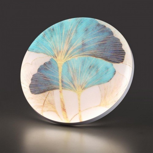 Настенно-потолочный светильник Sonex Floren 7747/EL