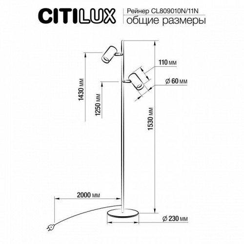 Торшер Citilux Twin CL809010N Торшер Citilux Twin CL809010N