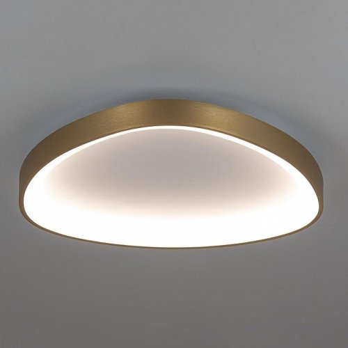 Накладной светильник Citilux GENKA SMART CL756A142