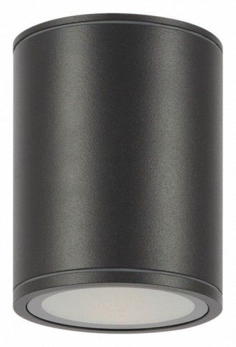 Потолочный светильник Maytoni уличный Bar O306CL-L12GF