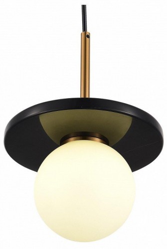 Подвесной светильник ST-Luce Nebula SL1191.343.01 Подвесной светильник ST-Luce Nebula SL1191.343.01