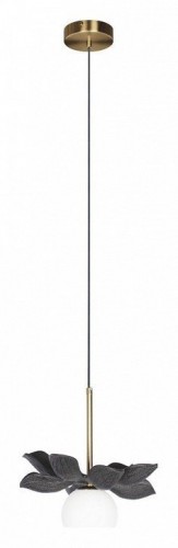 Подвесной светильник Loft IT Monro 10213/B Black