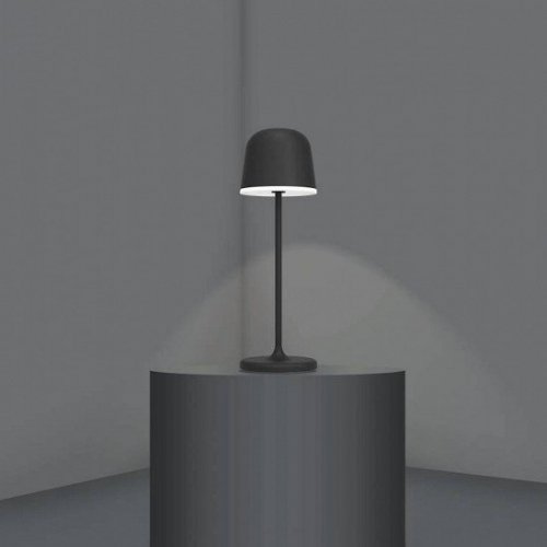 Настольная светодиодная лампа Eglo Mannera 900457
