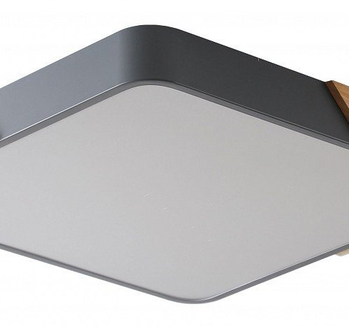 Потолочный светильник Zortes Alberro ZRS.01288.24