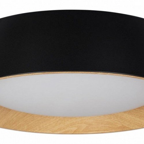 Потолочный светильник Loft IT Coin 10202 Black
