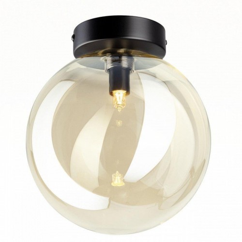 Настенно-потолочный светильник Citilux Orton CL202512