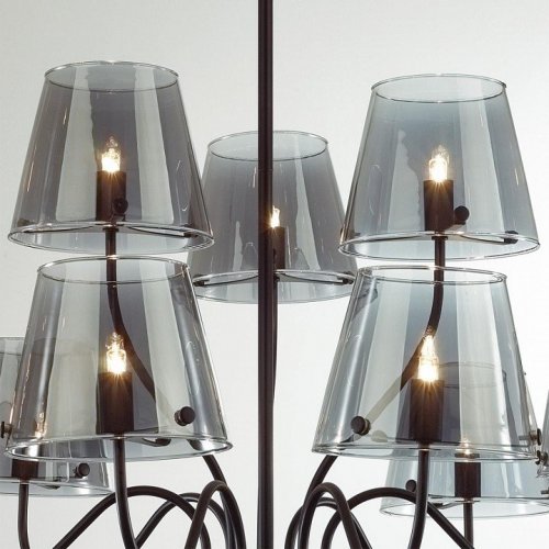 Потолочная люстра Lumion Smoky 6570/9C