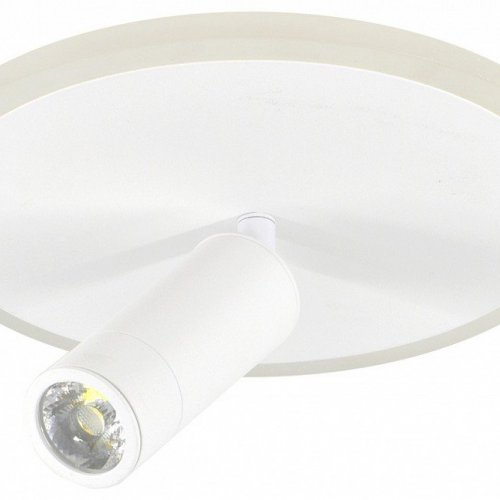 Настенно-потолочный светильник Escada 20046LED 20046SMA/01LED WH Настенно-потолочный светильник Escada 20046LED 20046SMA/01LED WH