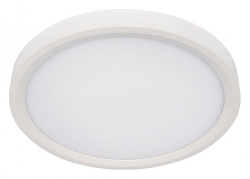 Потолочный светильник Loft IT Extraslim 10227/24 White